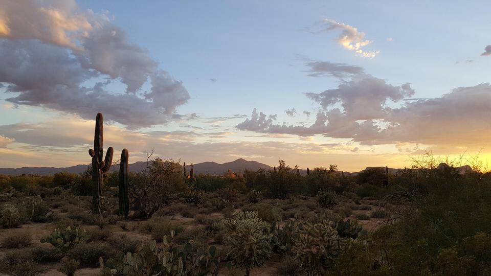 Get the right homeowners insurance in Forest Lakes, AZ, with Premier Choice Insurance. Protect your home, belongings, and financial well-being from wildfires, storms, and other risks. Contact us for a free quote today!