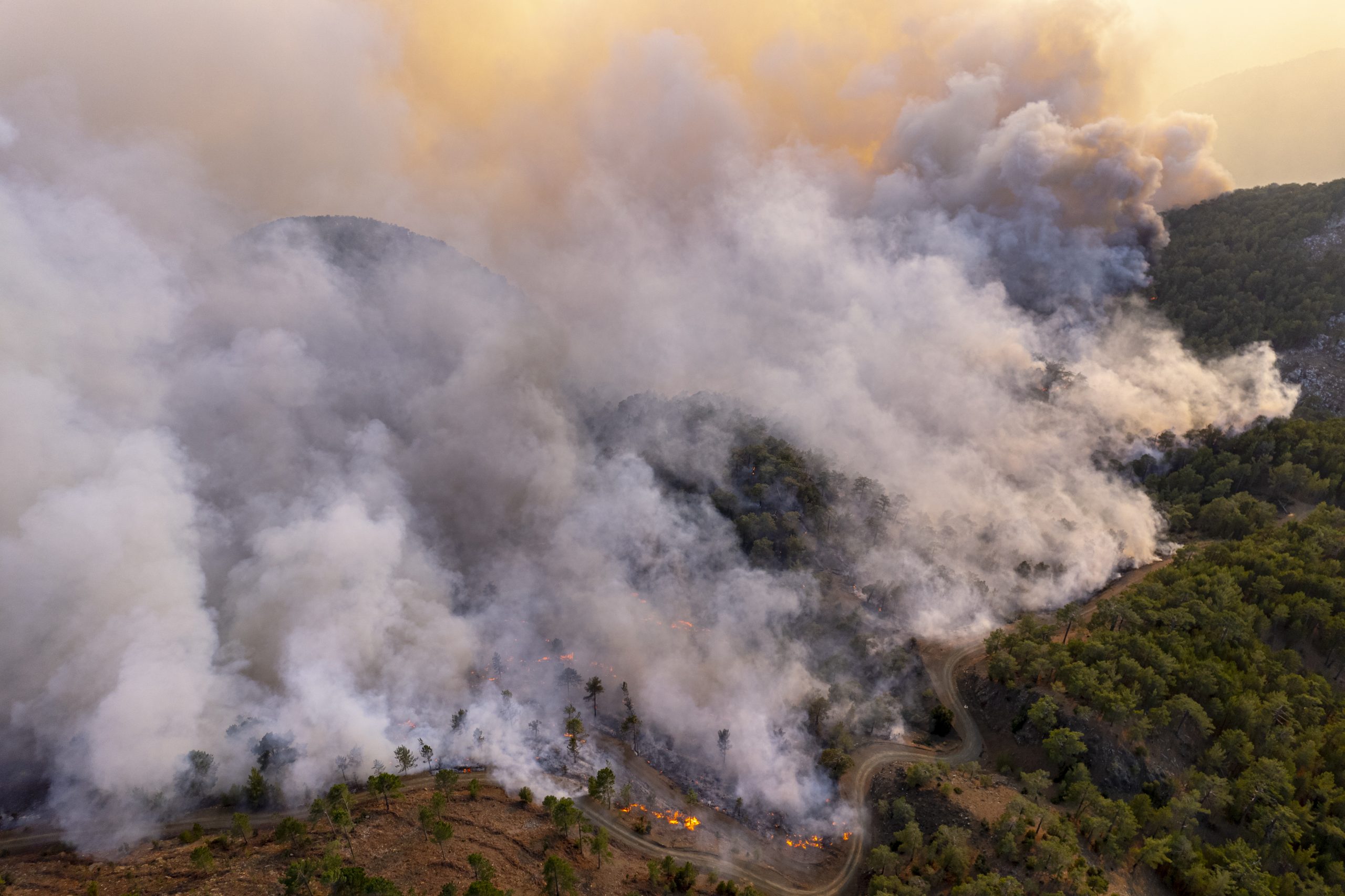 A wildfire burns a forested hillside with smoke and flames billowing under a hazy sky.
